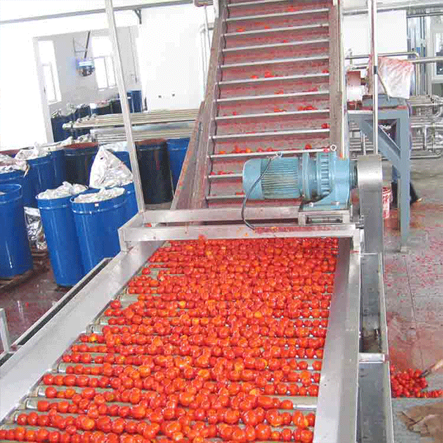 江苏利臻番茄酱生产线